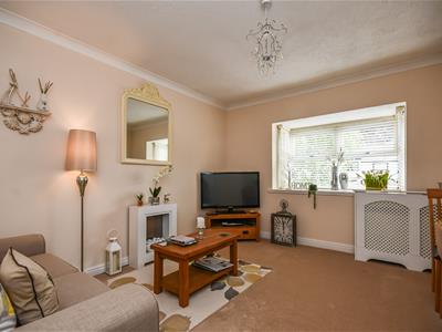 Picture 3